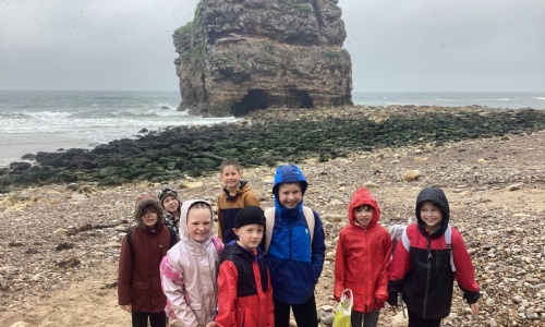 Year 4 Coastal Study at Marsden