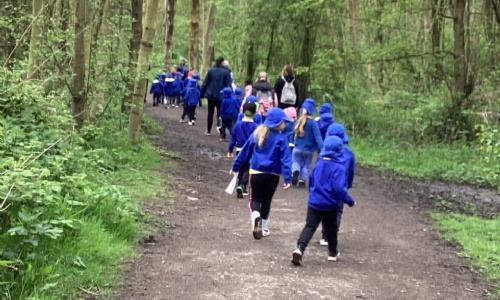 Reception Class Visit The Rising Sun Country Park